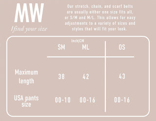 Cheetah Print Scarf Belt with Gold Buckle - Belt - mostwantedusa