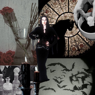 Shop Morticia Addams