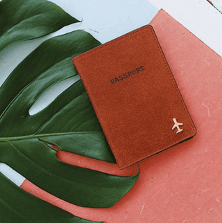 Passport and Luggage - mostwantedusa