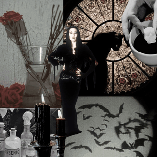 Shop Morticia Addams - mostwantedusa