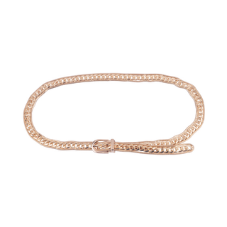 Heavy Hardware Chain Belt