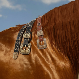 The Western Trail Belt