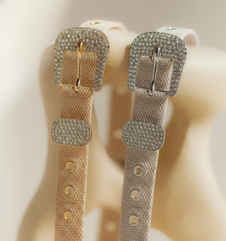 Metallic Mesh Belt with Rhinestone Buckle