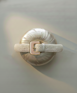 Subtle Sparkle Raffia Stretch Belt