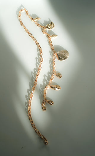 Golden Seashells Chain Belt - Ships July 21st