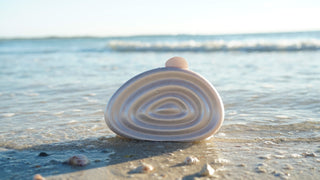 Spiraled Shell Acrylic Clutch