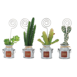 Cactus Polaroid Holders - Home Decor and Gift - mostwantedusa